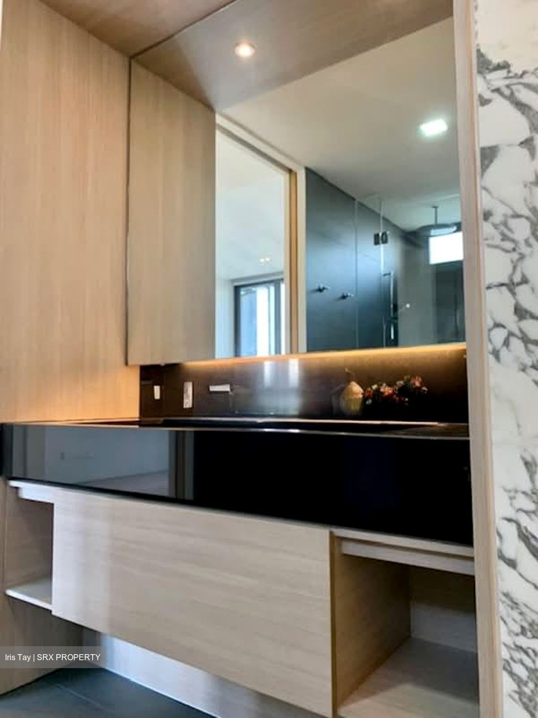 Fifteen Robin (D10), Condominium #554749531